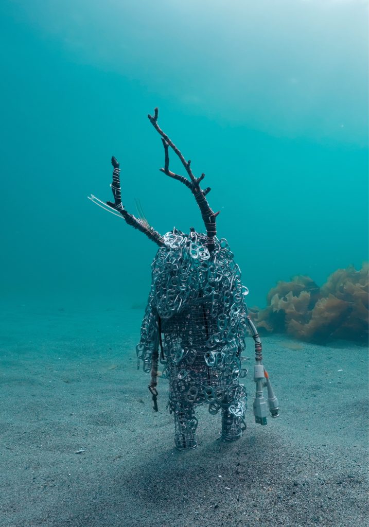 ÁFRUVVÁ / MERMAID